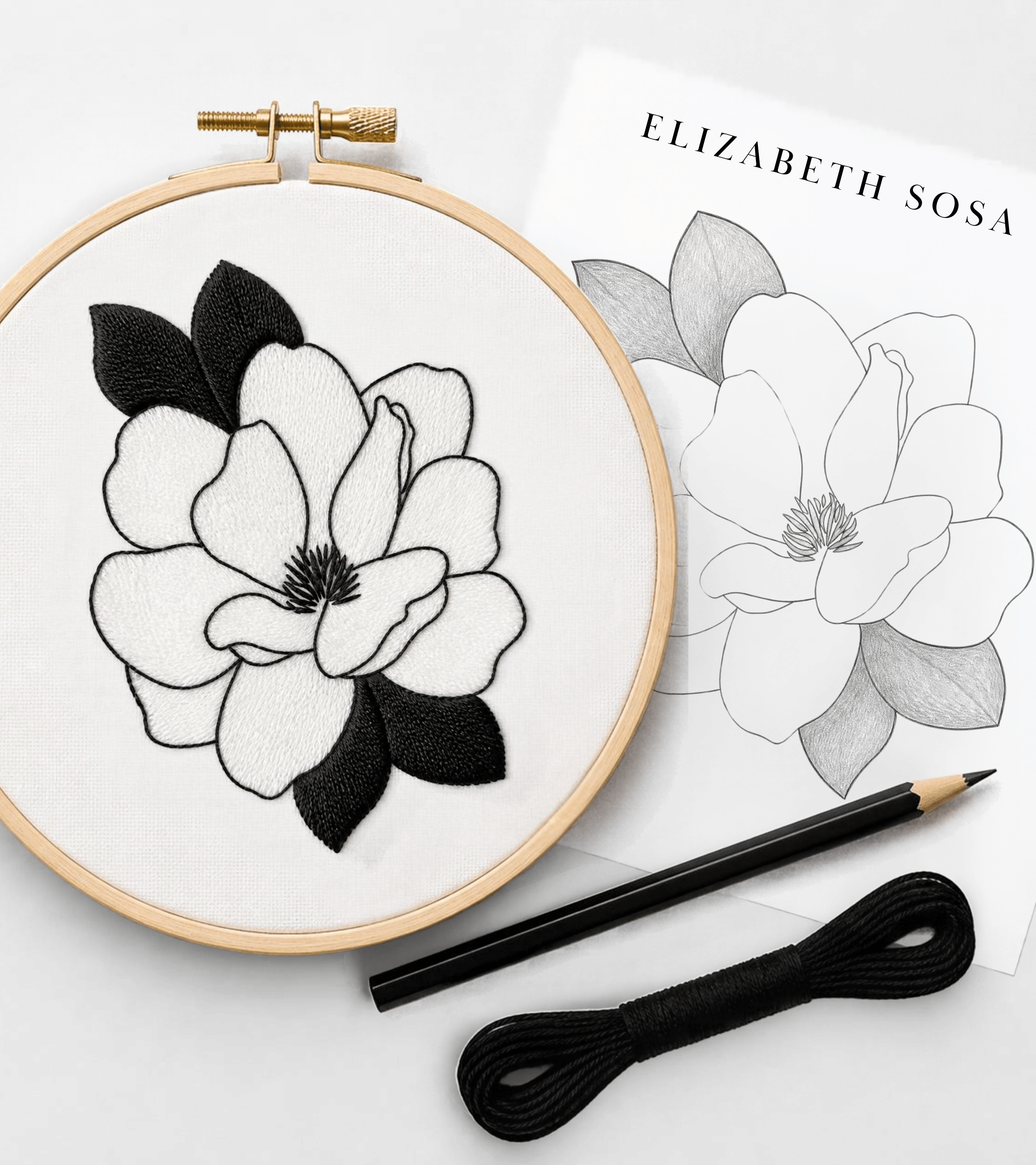 From Illustration to Product Design: The Story Behind the Magnolia Botanical Illustration